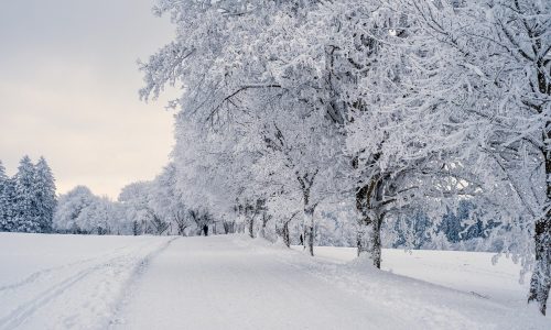 Fotka ponedeljka – Winter is coming…maybe?